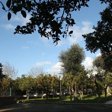 The Reef Bed & Breakfast